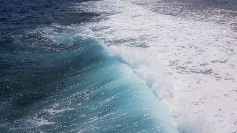 Albatros Sea World Marsa Alam